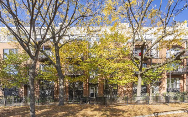 5215 rue de Gaspé - Montréal - 02